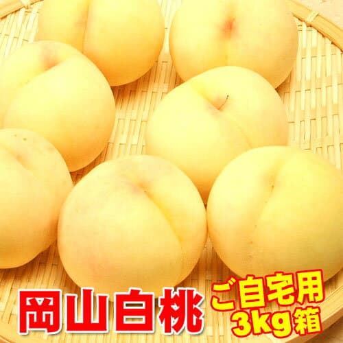 岡山白桃物語 白桃
