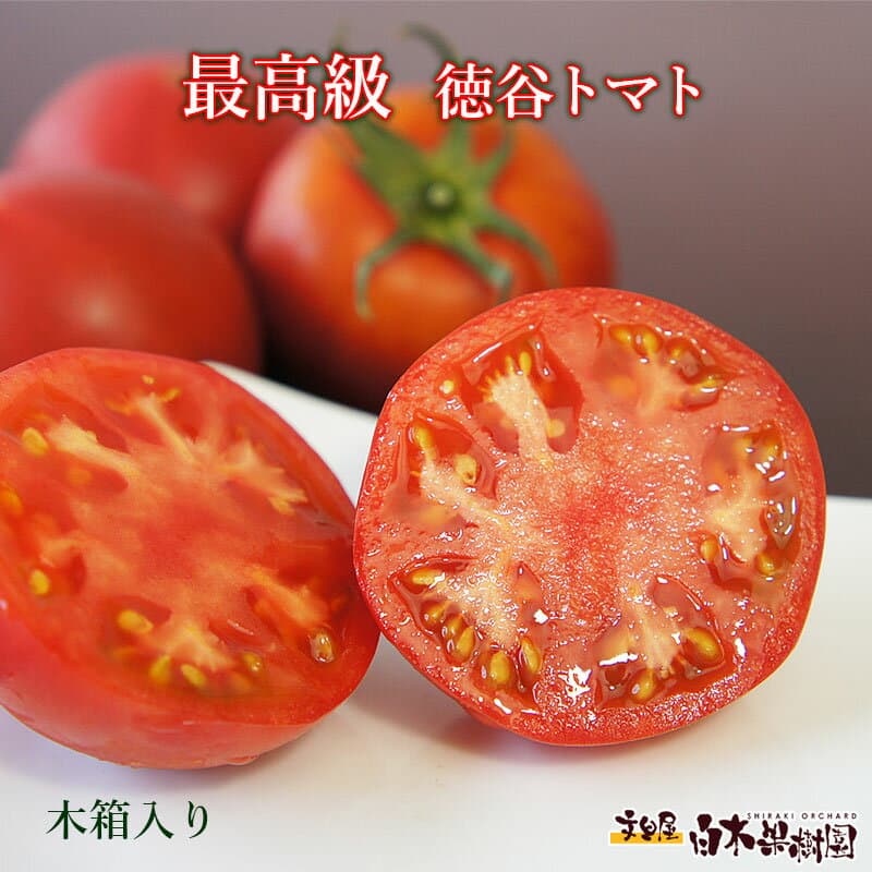 高知縣產 徳谷トマト水果番茄