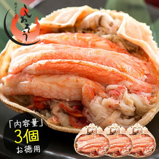 越前蟹
