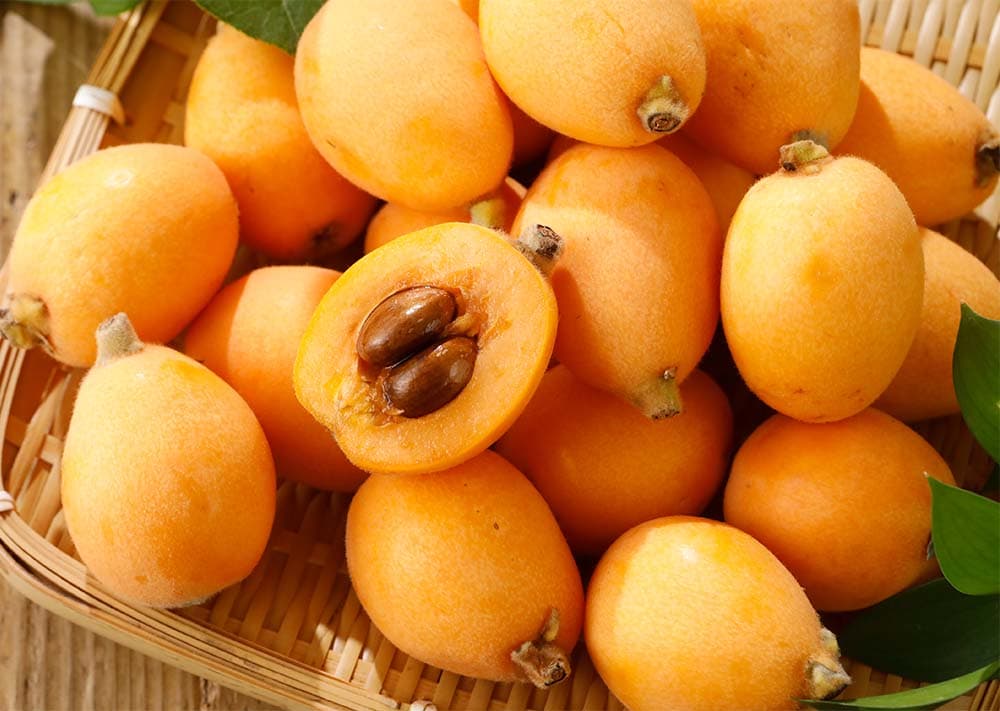 Boshu loquat