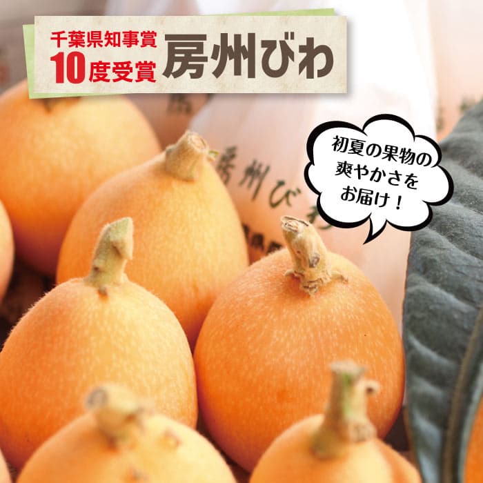 千葉縣富浦產房州枇杷
