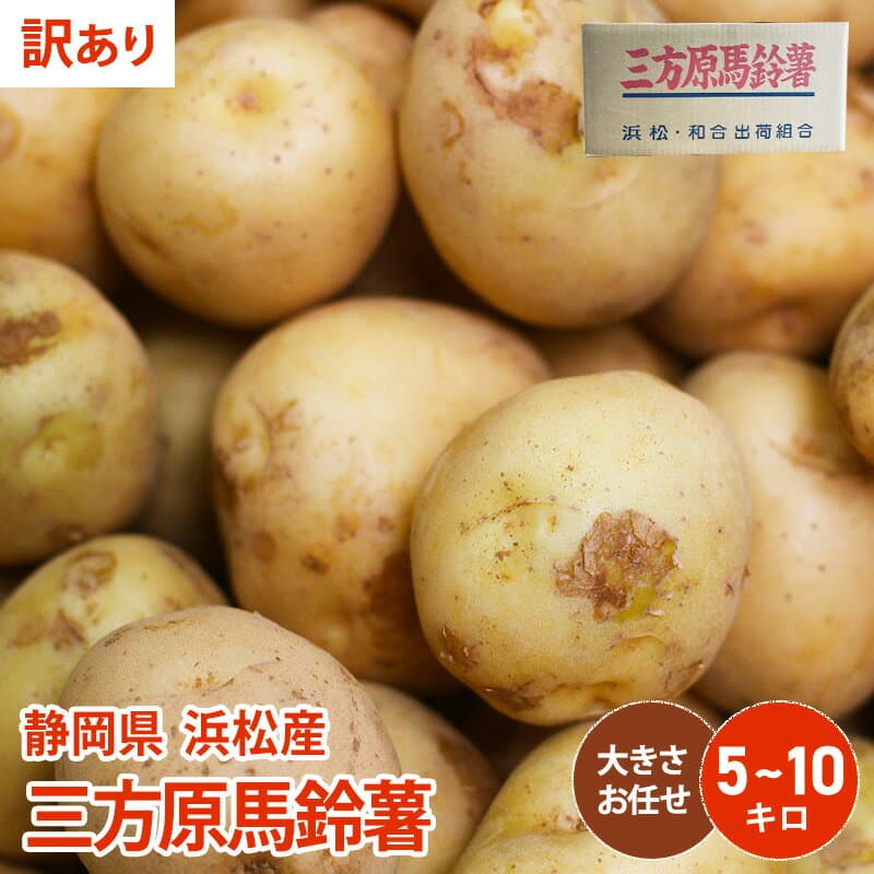 三方原馬鈴薯