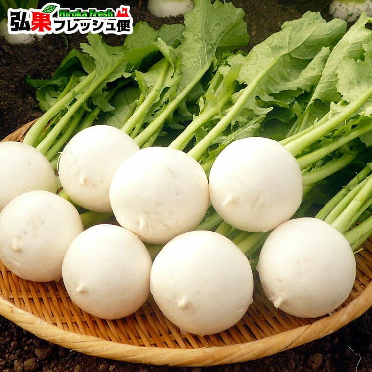 野邊地帶葉小蕪菁