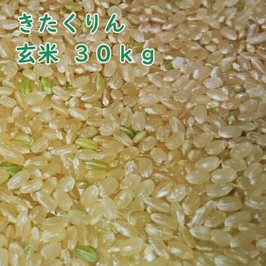 東川米