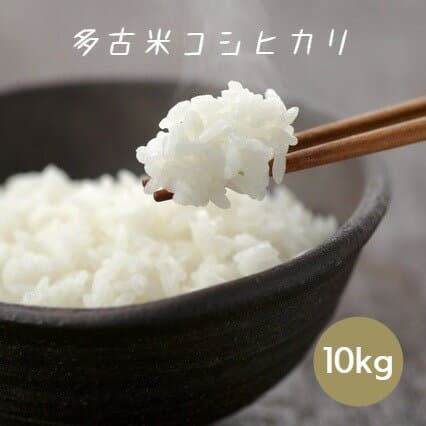 令和7年產千葉縣多古米越光白米