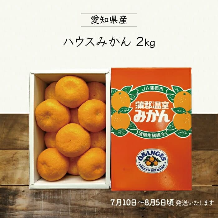 蒲郡みかん