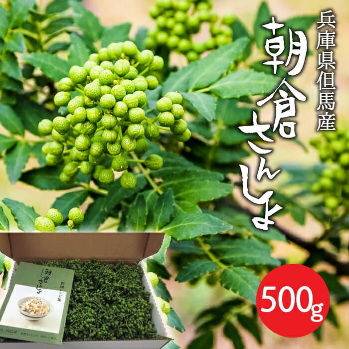 朝倉山椒