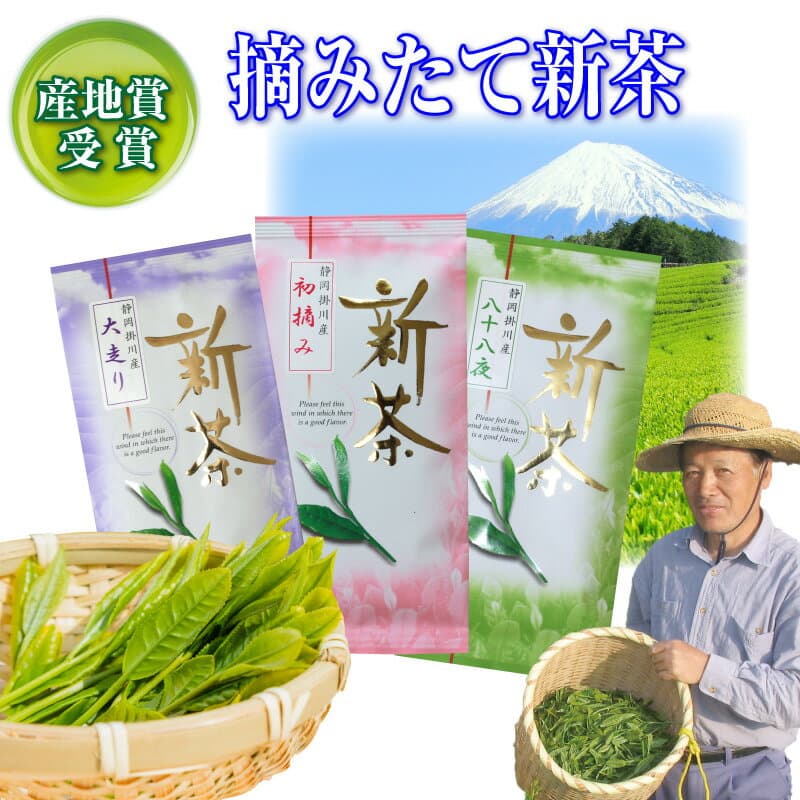 掛川茶 深蒸煎茶茶葉