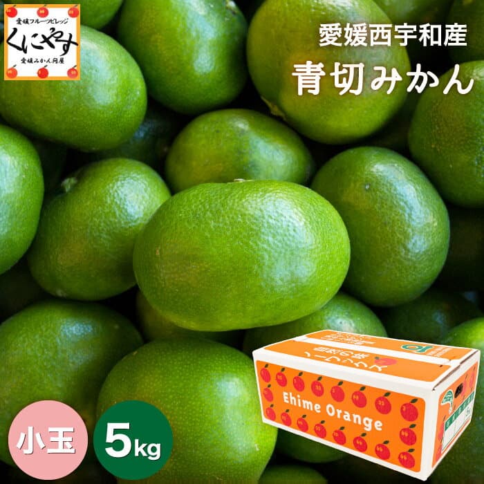 愛媛西宇和青切蜜柑