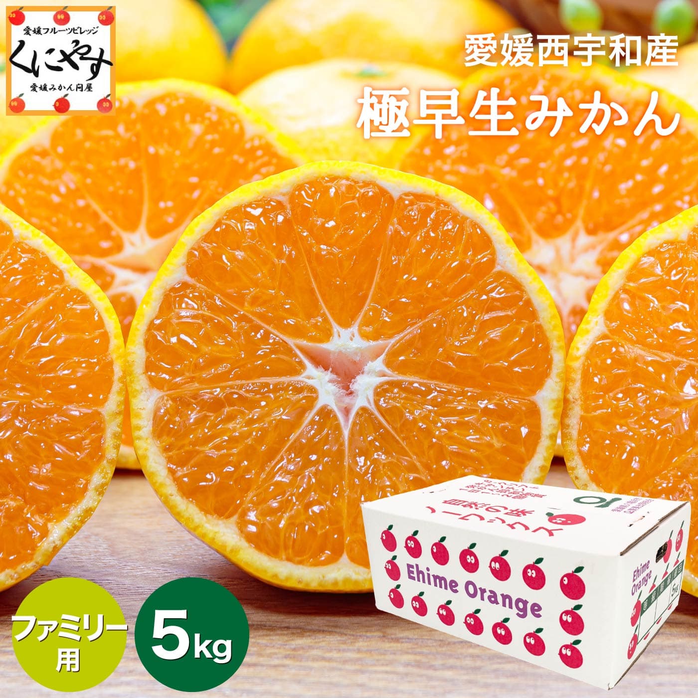 愛媛西宇和極早生蜜柑