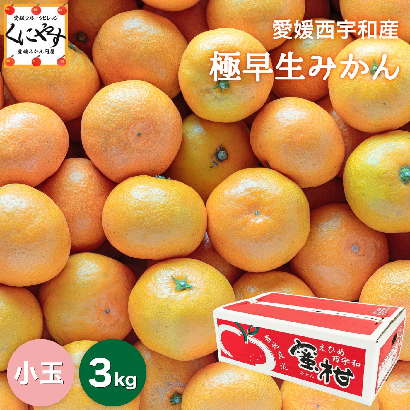 西宇和蜜柑