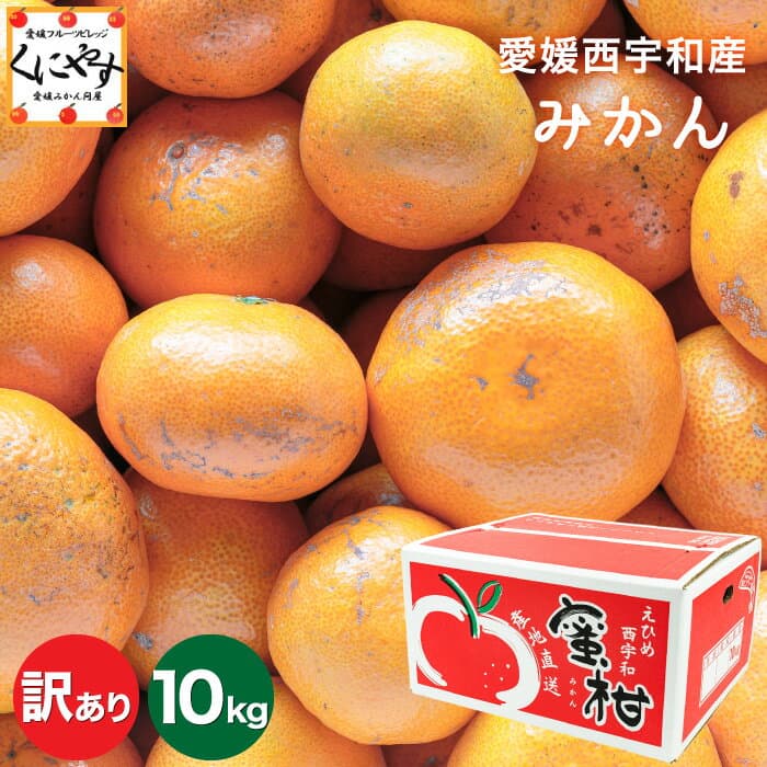 ★2年連続グルメ大賞受賞みかん★創業86年 愛媛 みかん の老舗【送料無料】【産地直送】愛媛西宇和産 みかん 訳あり 10キロ「訳ありみかん10」 日の丸みかん 川上みかん 真穴みかんと同一産地