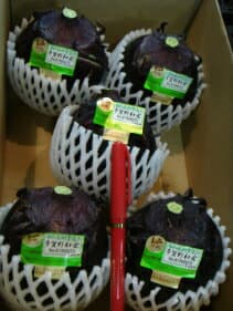 京都傳統蔬菜 賀茂茄子