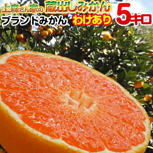 上森さん家 蔵出し下津蜜柑溫州蜜柑