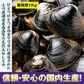小川原湖產大和蜆