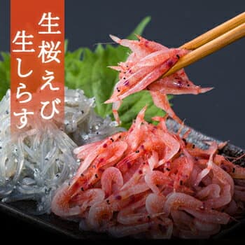 生桜えび、生しらすセット 送料無料 市場直送ギフト 由比港水揚げ 駿河湾桜えび 静岡県産を安心して 海鮮 新鮮 鮮度 お土産 ご当地 名物 静岡 漁港直送 母の日 ギフト プレゼント 贈答品 お年賀 お歳暮 美味 手土産 珍味 レシピ付き 北海道沖縄配送料加算