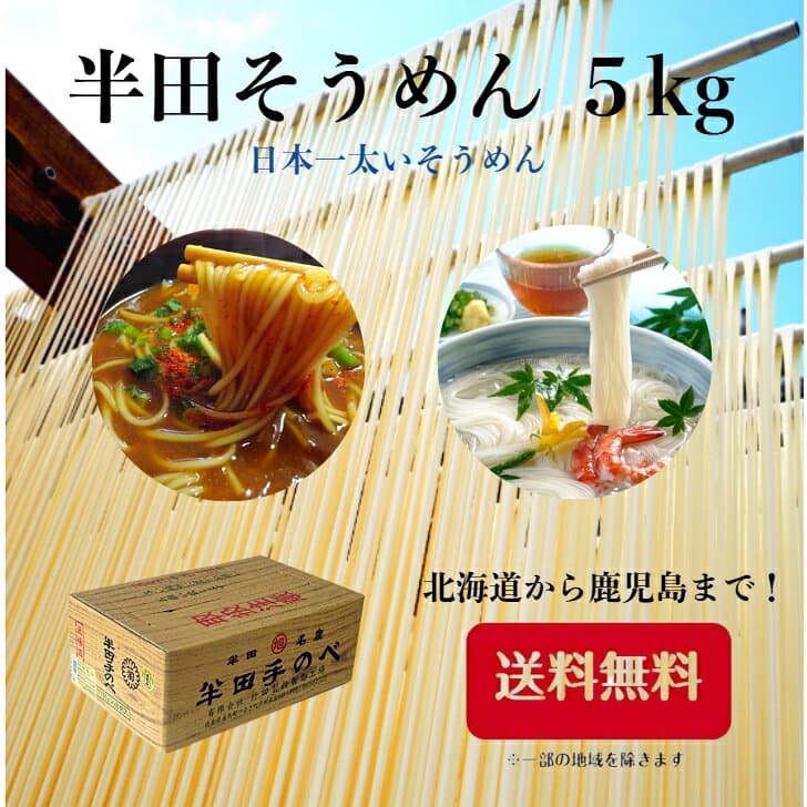 竹田製麺 手延半田素麵