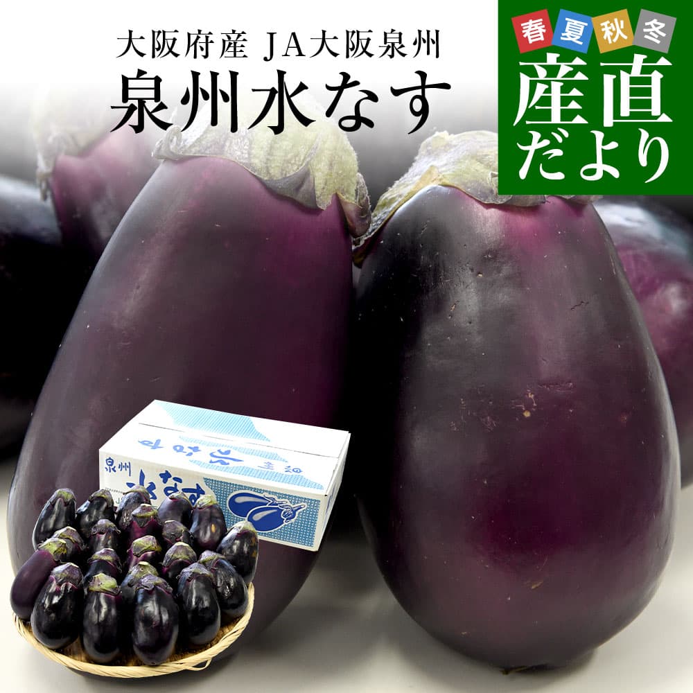 大阪府產 JA大阪泉州 泉州水茄子