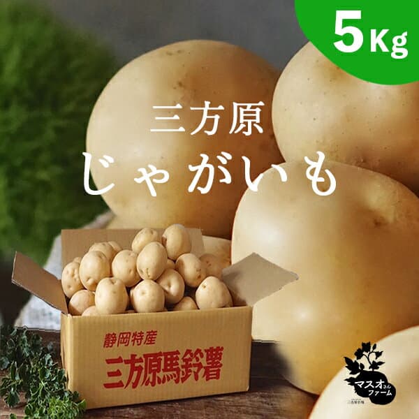Masuo-san Farm 三方原男爵馬鈴薯