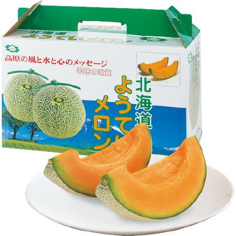 羊蹄哈密瓜