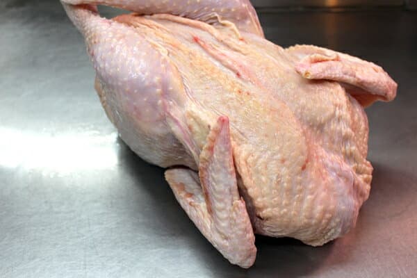 伊勢赤どり整雞