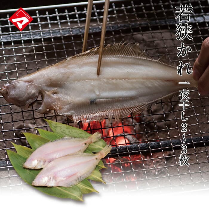 若狹比目魚
