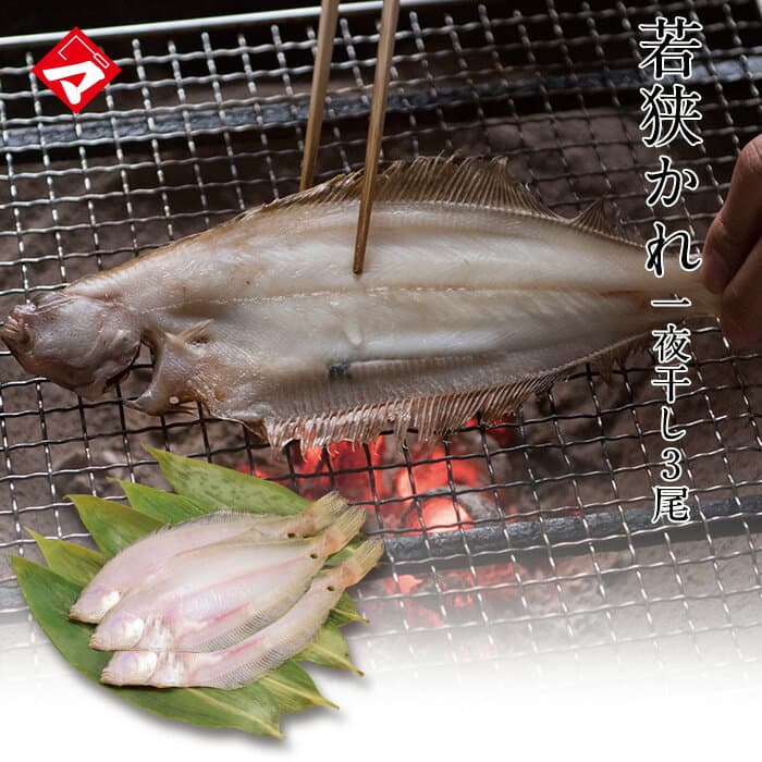 若狹鰈一夜干