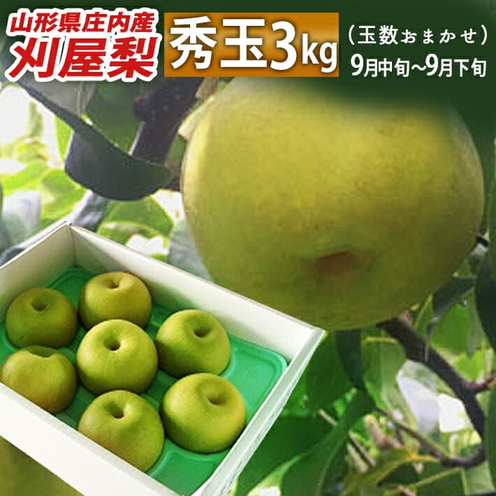山形縣庄內酒田市產 刈屋梨 秀玉和梨