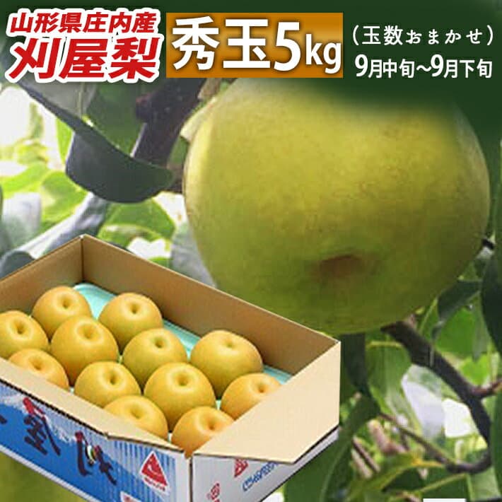 刈屋梨