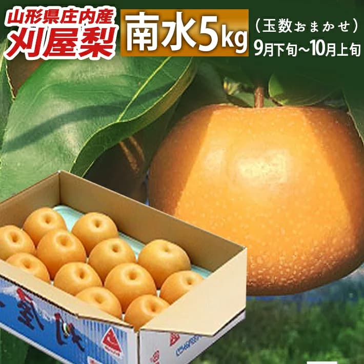 Kariya Pear Nansui Japanese Pears from Sakata, Yamagata