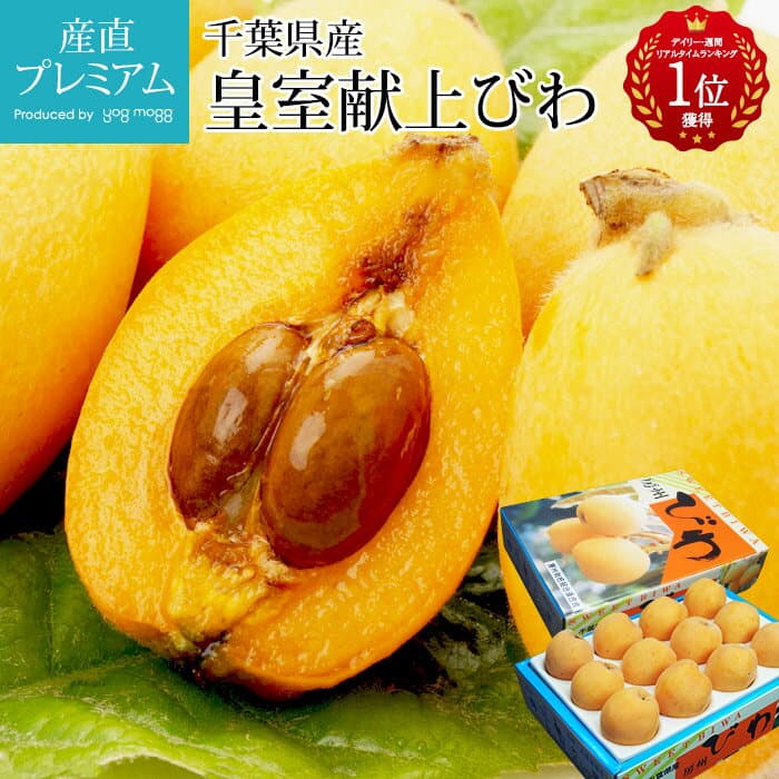 千葉縣房州枇杷